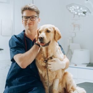 Plan Perro (10 animales)