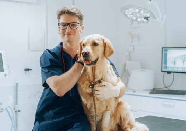 Plan Perro (10 animales)